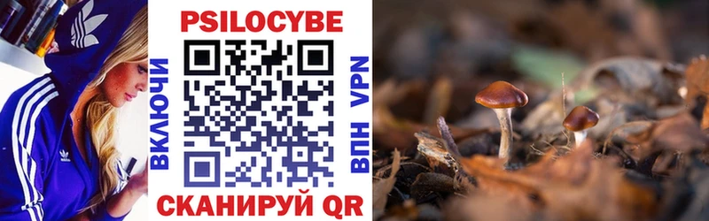 Псилоцибиновые грибы Psilocybine cubensis  Елец 